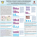 Cells were treated with drugs and their combinations for