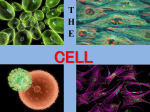 Introduction to Cells and the Microscope