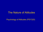 The Nature of Attitudes
