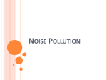 TY EVS Noise pollution.pptnew