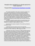 Proposal to South American Classification Committee