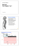 PDF - the Houpt Lab