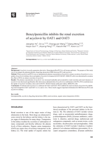 Benzylpenicillin inhibits the renal excretion of acyclovir by OAT1 and