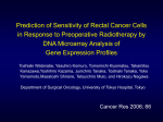 Prediction of Sensitivity of Rectal Cancer Cells in Response to