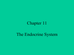 Chapter 11