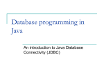 Serverside Java and Database systems