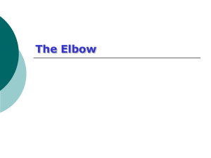 The Elbow - Cat`s TCM Notes