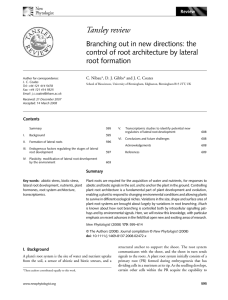 Branching out in new directions: the control of root