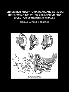 pdf - The Luo Lab