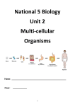 Cells, tissues and organs