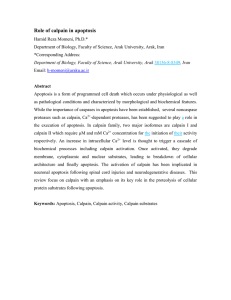 Morphological and biochemical characterization of apoptosis