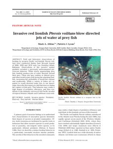 Invasive red lionfish Pterois volitans blow directed jets of water at