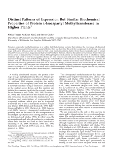 Distinct Patterns of Expression But Similar Biochemical Properties of