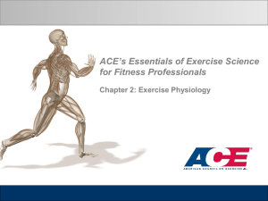 ACE PT Ch2 Exercise Physiology