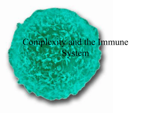 Complexity and the Immune System