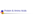 Chapter 7: Protein