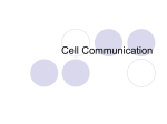 Cell Communication