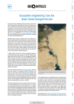 Ecosystem engineering: how the Suez Canal changed the sea