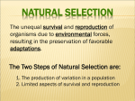 The Two Steps of Natural Selection are