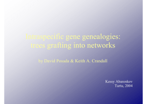 Intraspecific gene genealogies: trees grafting into networks