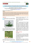 Detection of Sitosterol in Chenopodium album of Iraq by GC/MS