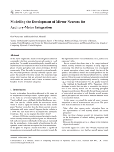 Modelling the Development of Mirror Neurons for Auditory