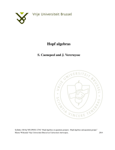 Hopf algebras