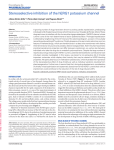 Stereoselective inhibition of the hERG1 potassium channel