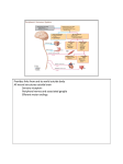 Lecture notes for Chapter 13