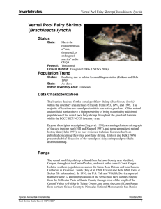 Vernal Pool Fairy Shrimp