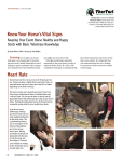 Know Your Horse`s Vital Signs Heart Rate