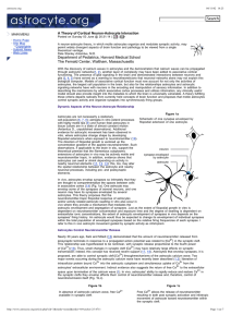 Search Department of Pediatrics, Harvard Medical School The