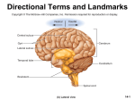 Directional Terms and Landmarks