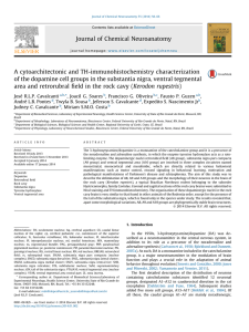 A cytoarchitectonic and TH-immunohistochemistry
