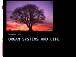 Organ Systems and Life