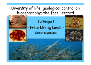 The fossil record, biostratigraphy and diversity of life