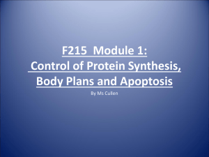 f215 control of protein syntheses and apoptosis student version
