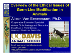 Overview of the Ethical Issues of Germ Line Modification in Animals