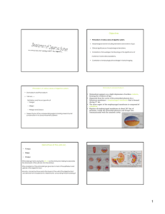 Objectives Derivatives of the yolk sac,