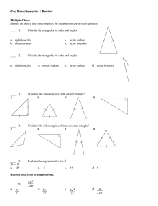 Geo Basic Semester 1 Review Answer Section