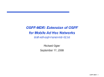 Slide presentation with simulation results - OSPF