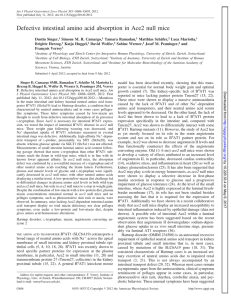 Defective intestinal amino acid absorption in Ace2 null mice