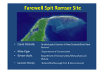 Farewell Spit Ramsar Site