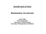 T32-Iris and Lens Biochemistry 02 Sep 09