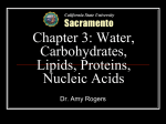 Water, Carbohydrates, Lipids, Proteins, Nucleic Acids