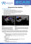 Ultrasound of the Hindfoot SCAN September 2013