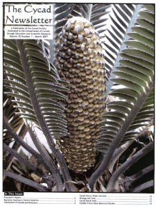 Coevolution of Cycads and Dinosaurs