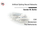 Breaking the Neural Code