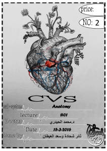 Anatomy #01 د.محمد الحيدري 15-3