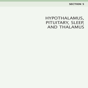 hypothalamus, pit..